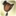 Mountable flag